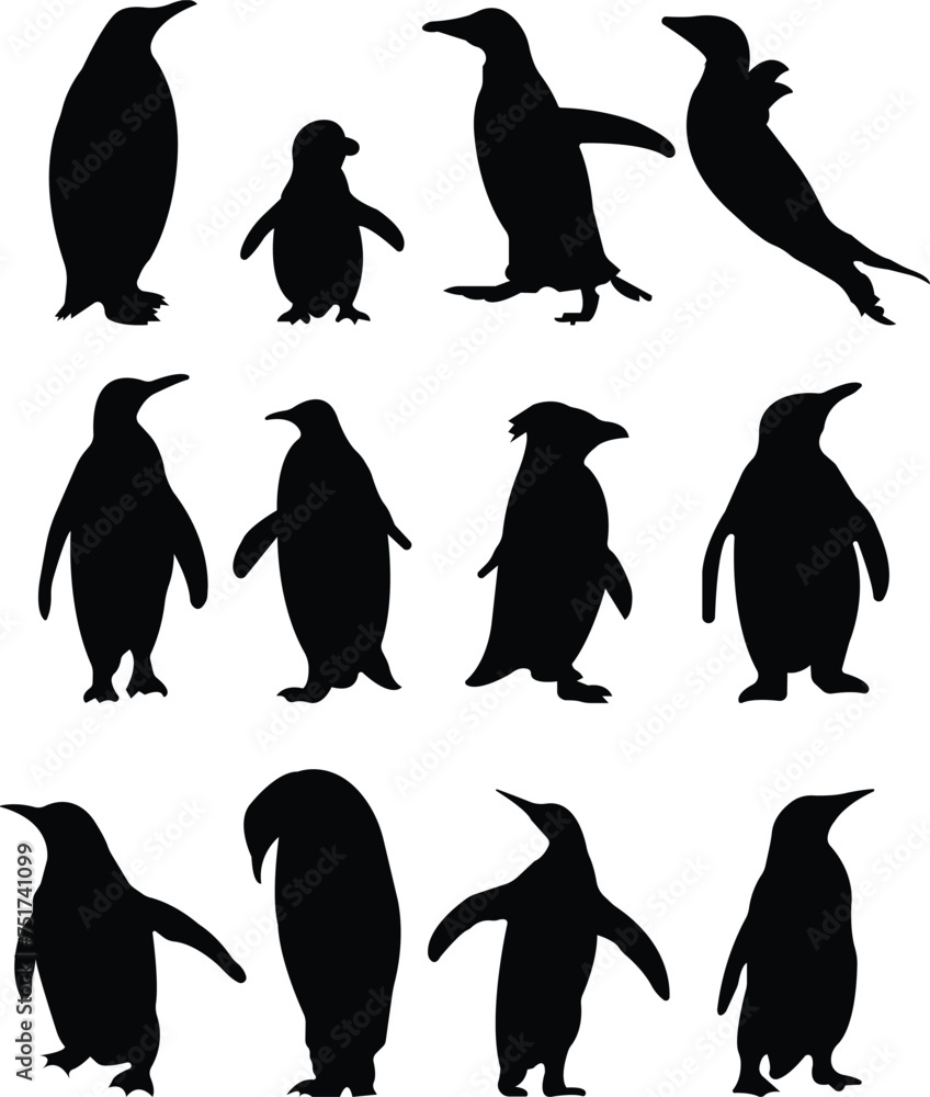 Obraz premium Penguin black icon set flat vector collection isolated on transparent. Logo baby cartoon character symbol graphic doodle animal element, characters play fun, make snowman, skating and skiing