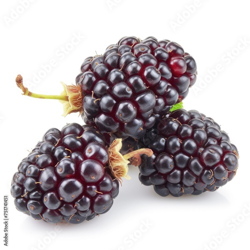 Close-up of multiple mulberry isolated on white background 