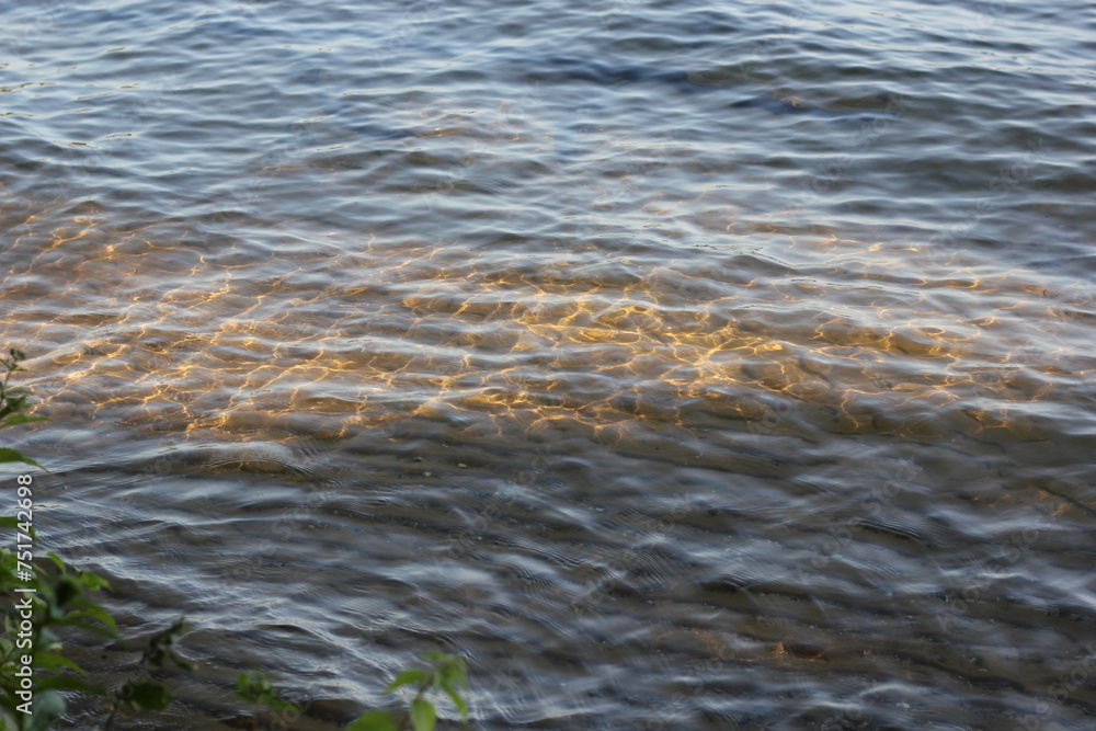 river in the forest