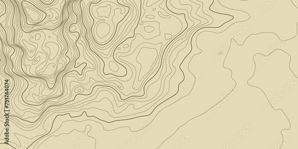 Fototapeta premium Topographic pattern texture. Brown contours on beige background. vector topography. Geographic mountain topographic. Map on land strok terrain. Elevation on graphic height lines. Vector Illustration.
