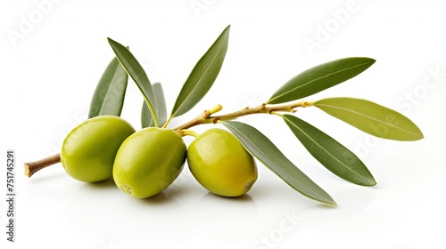 A composition of a green olive branch isolated on a white background, suitable for package design.