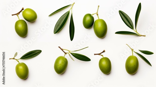 Wallpaper Mural A series of photos featuring green olive branches, each isolated on a white background. Torontodigital.ca