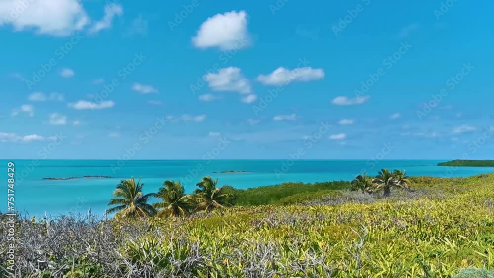 Beautiful tropical natural beach jungle forest panorama Contoy island Mexico. Beautiful tropical natural beach jungle forest panorama Contoy island Mexico.
