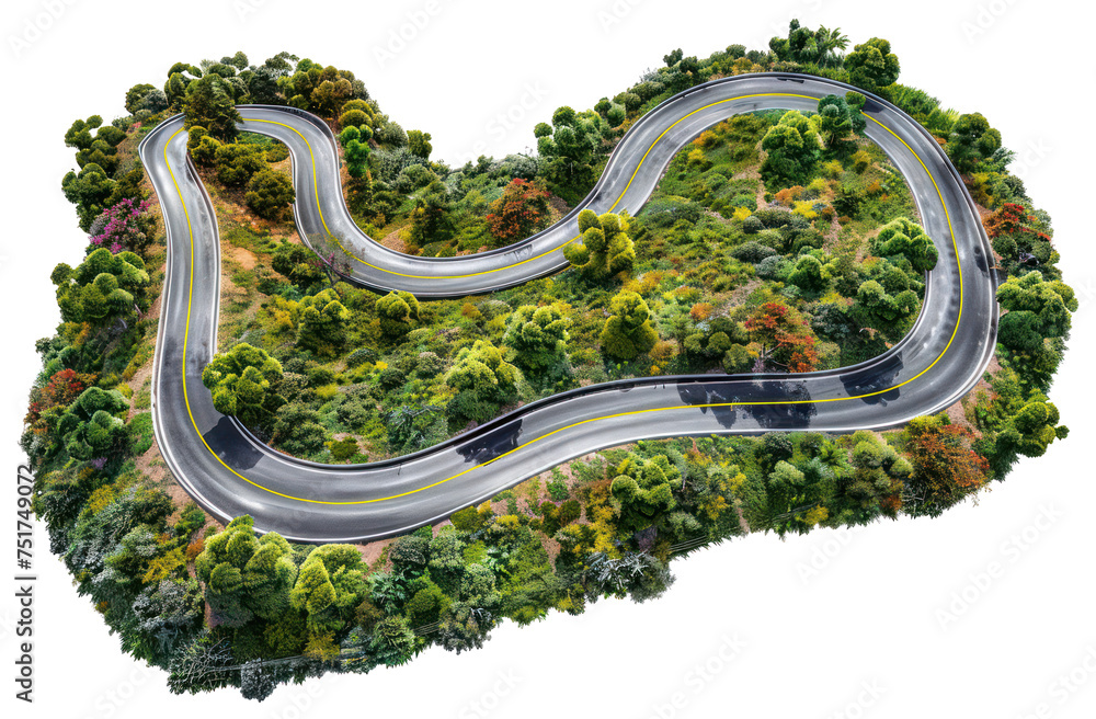 Serpentine forest road with lush greenery, cut out - stock png. Serpentine forest road with lush greenery, cut out - stock png.