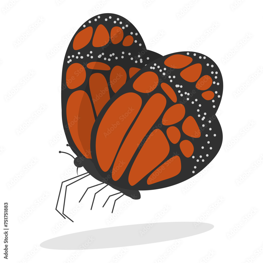 3D Isometric Flat Vector Set of Insects, Bug, Mosquito, Fly, Cockroach, Butterfly. Item 4 3D Isometric Flat Vector Set of Insects, Bug, Mosquito, Fly, Cockroach, Butterfly. Item 4