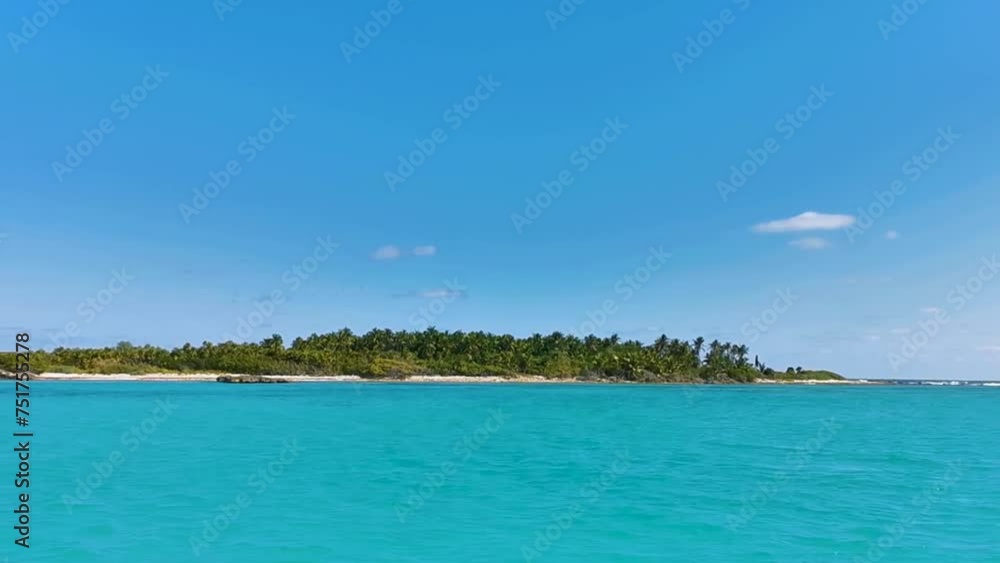 Beautiful tropical natural beach jungle forest panorama Contoy island Mexico. Beautiful tropical natural beach jungle forest panorama Contoy island Mexico.