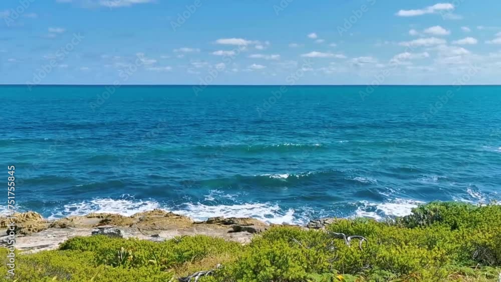 Beautiful tropical natural beach jungle forest panorama Contoy island Mexico. Beautiful tropical natural beach jungle forest panorama Contoy island Mexico.