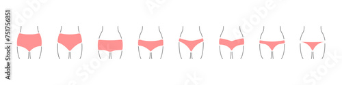 Vector collection of types of women underwear. Women underwear set. Panties in linear style vector. Types of underwear vector. Underwear.