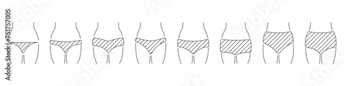 Vector collection of types of women underwear. Women underwear set. Panties in linear style vector. Types of underwear vector. Underwear. photo