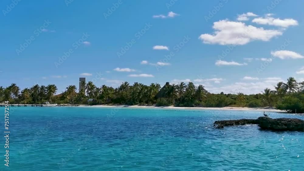 Beautiful tropical natural beach jungle forest panorama Contoy island Mexico. Beautiful tropical natural beach jungle forest panorama Contoy island Mexico.