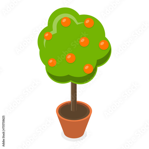 3D Isometric Flat Vector Set of Garden Flowers, Different Plants in Pots. Item 3