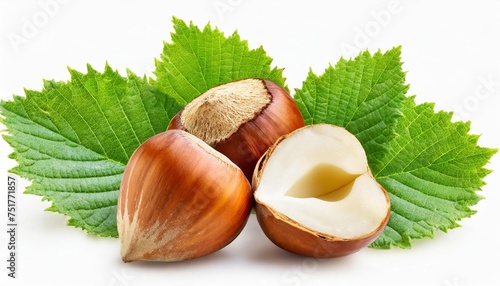 hazelnut with leaf isolate hazelnut peeled and unpeeled with leaves on white forest nut filbert side view full depth of field photo
