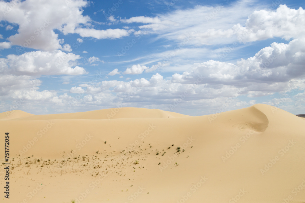 Tuyesu dunes landscape, Senek, Kazakhstan Tuyesu dunes landscape, Senek, Kazakhstan