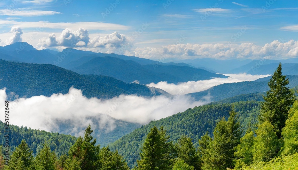 forested mountains panoramic views with clouds and fog in the distance