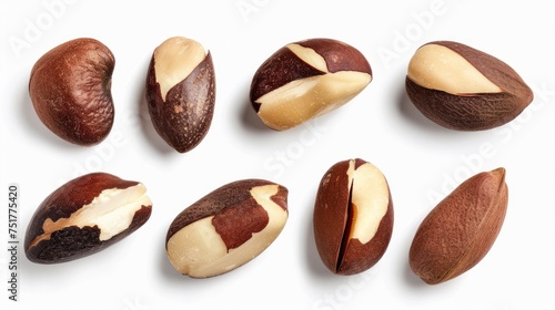A collection of Brazil nuts artfully arranged photo