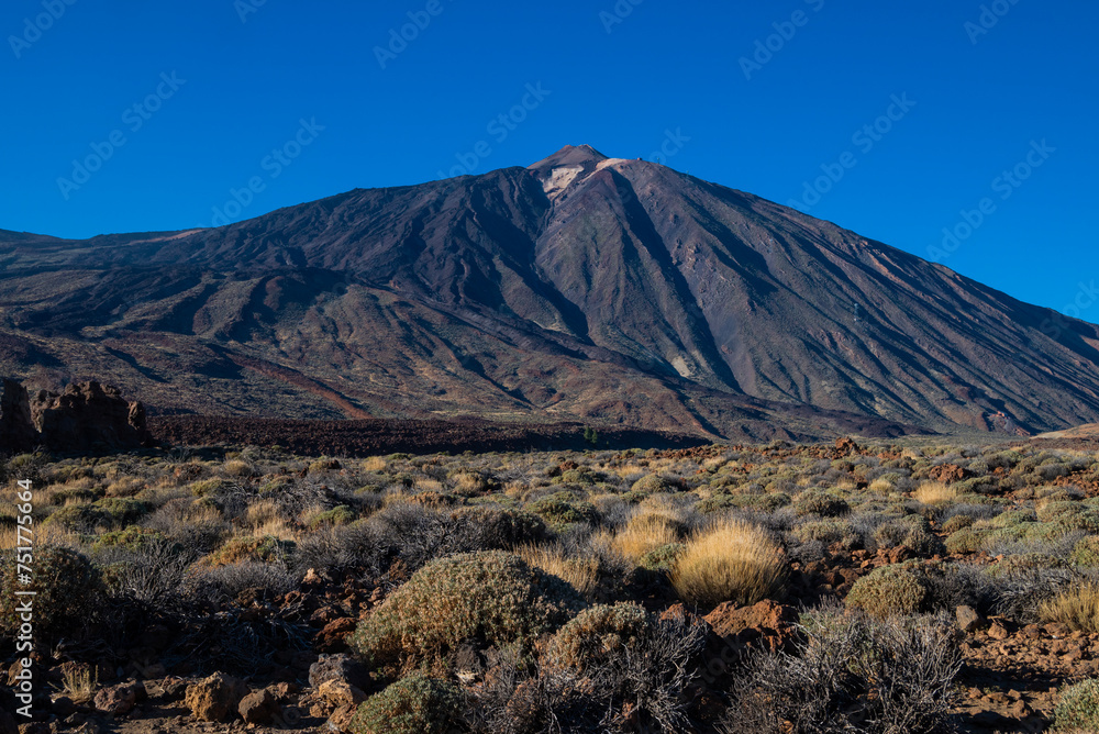 Cosmic landscapes with lava stones in the Teide Volcano National Park in the Canary Islands, view of the top of the mountain