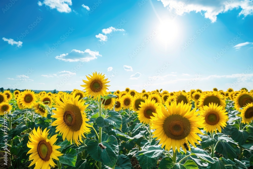 Fields of Sunshine: Sunflowers under Brilliant Sky, AI Generative

