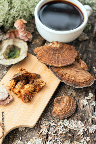 Chaga and Turkey’s tail, Trametes versicolor mushroom. Mushroom coffee chaga superfood. Dried mushrooms and and a cup of coffee. Healthy organic energizing adaptogen, endurance boosting food ... 