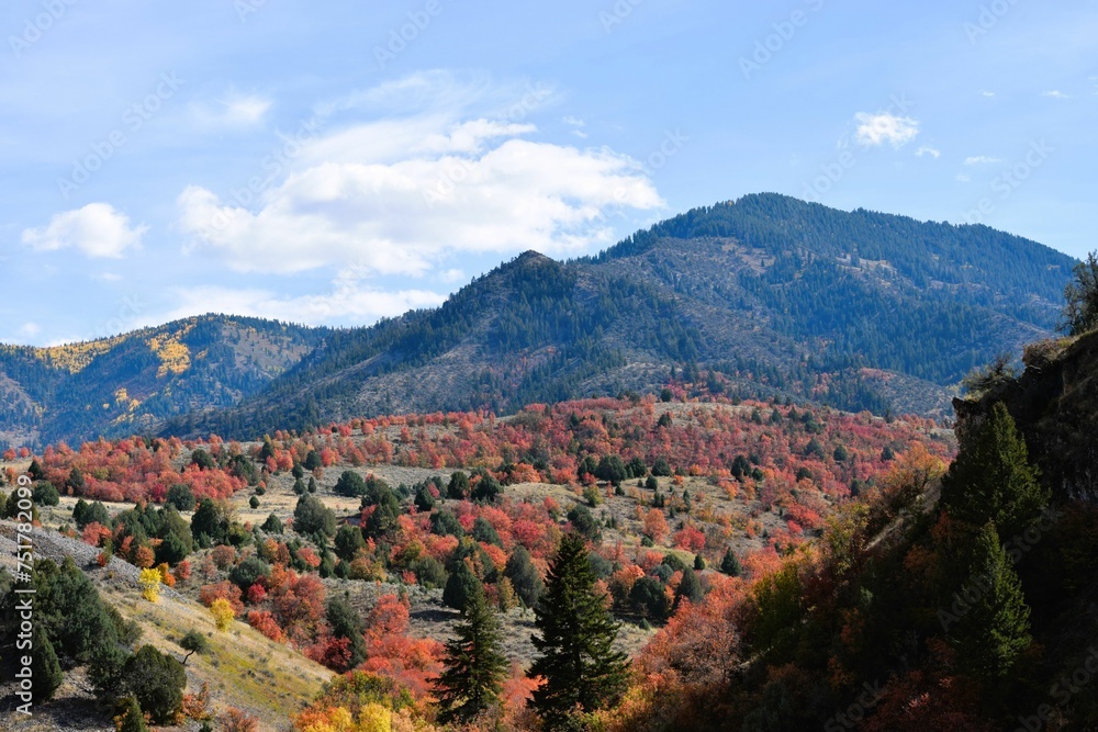 Northern Utah - Fall 