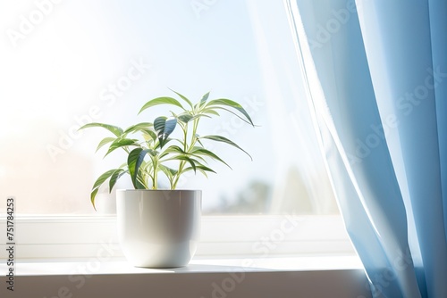 White Pot on Window Sill  Early Morning  Beautiful Blue Skies and White Clouds Background  Cozy House