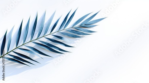 Palm tree with tropical leaves on a white background with a place to copy text, an even layer of green tropical leaves. The concept of recreation, tourism, and sea travel. © Cherkasova Alie