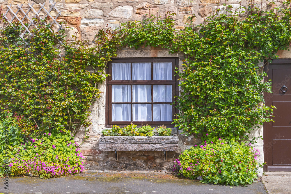 Ivy surrounding a window of a home on Holy Island.