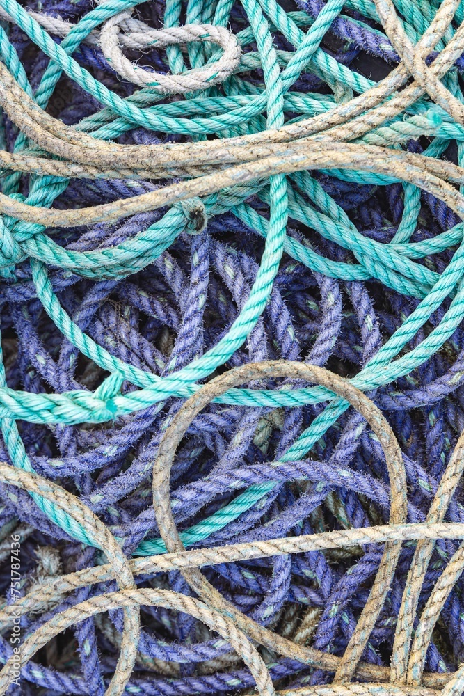 Purple and green ropes on the docks of Amble.