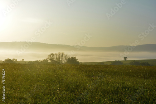 Early morning landscape with fog