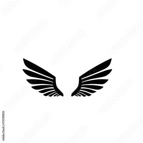 hand drawn angel or bird wings silhouettes © Galeri