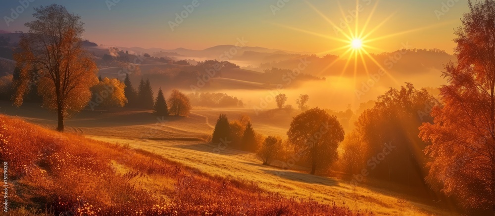 Obraz premium Glorious sunrise over a beautiful field with lush trees and vibrant green grass