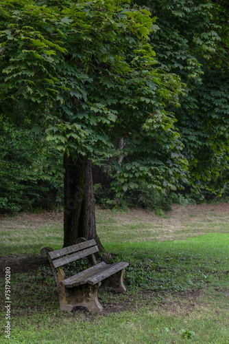 Fototapeta Naklejka Na Ścianę i Meble -  A lonely shop near an old tree