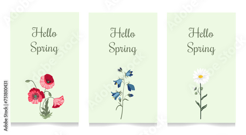 Wildflowers. Postcards with flowers. Chamomile, poppy, bell