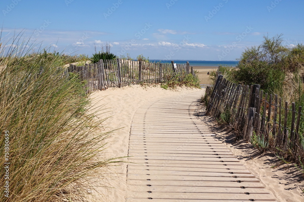 In den Duenen an der Ile de Re, Frankreich In den Duenen an der Ile de Re, Frankreich