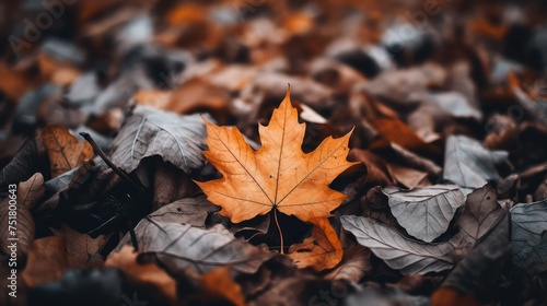 green nature leaves background