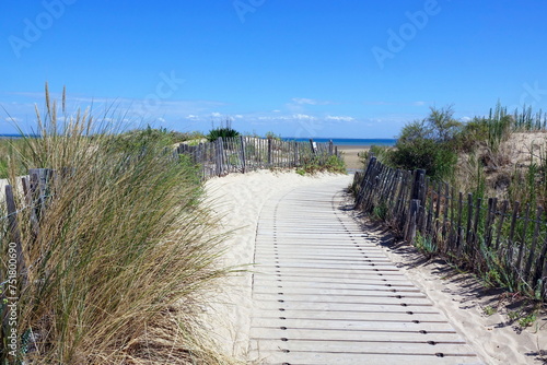 In den Duenen an der Ile de Re, Frankreich photo