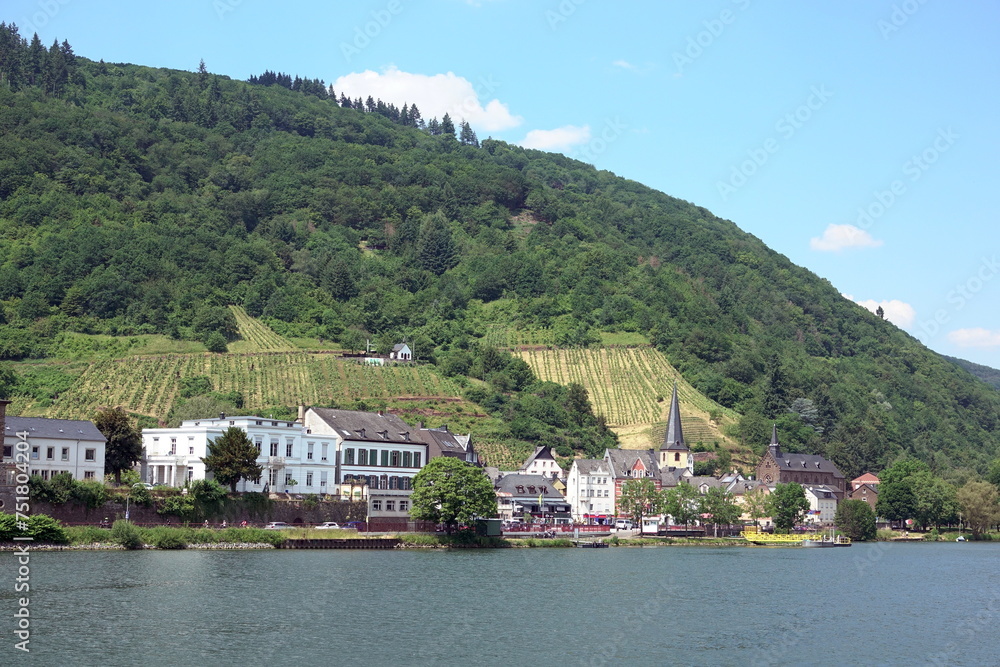 Fototapeta premium Alf an der Mosel