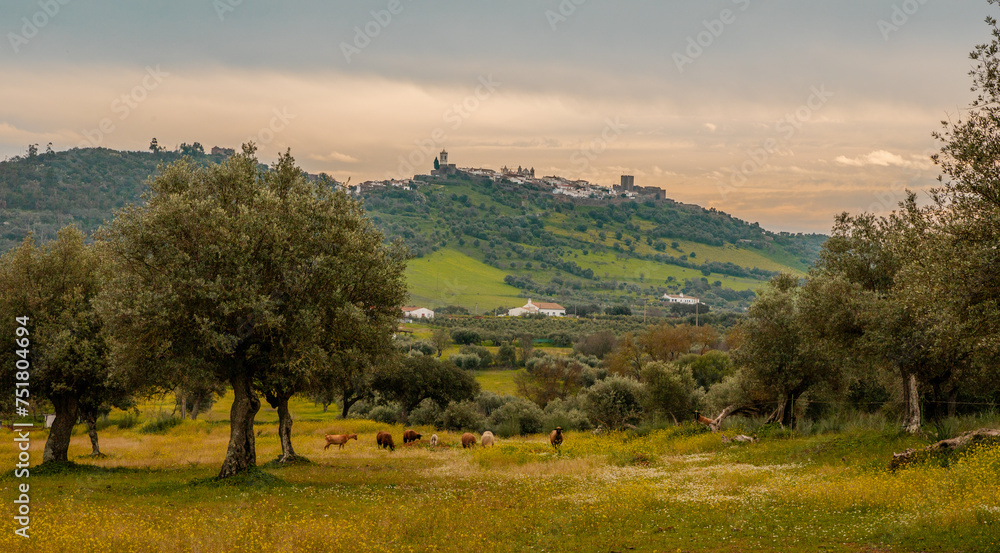 Travel Portugal  beautiful places in the region Alentejo