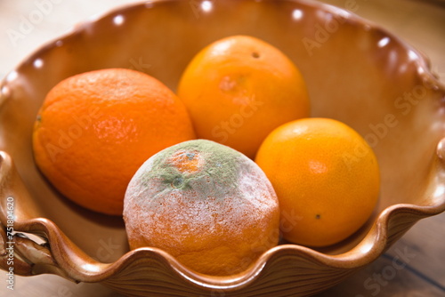 verdorbene und schimmelnde Orange in Obstschale