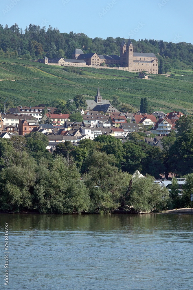 Rhein mit Ruedesheim