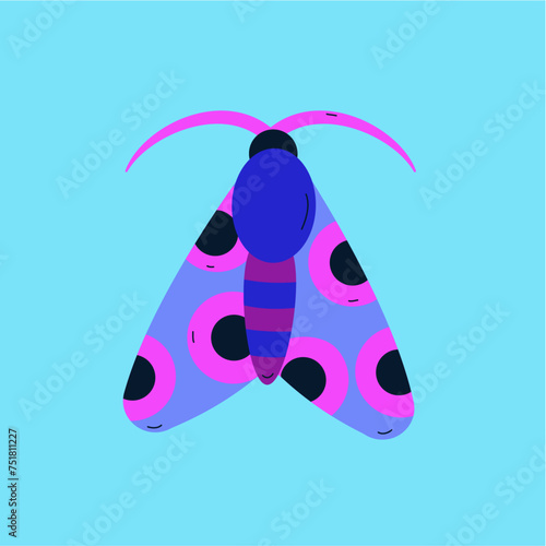 Moth