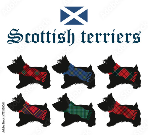 Set of Scottish terriers with scarfs. 