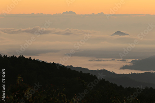 Morning scenery and a refreshing mist at Khao Kho Mountain in Phetchabun province, Thailand  photo