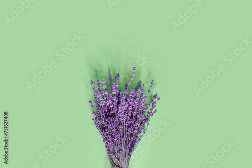 Purple lavender for print design on green paper background. Holiday party decoration.