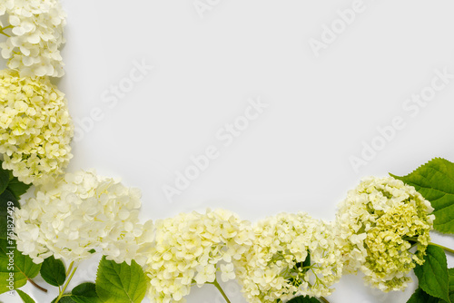 Beautiful bouquet of hydrangeas on white background. Greeting card for the holiday. Creative background with copy space for text.