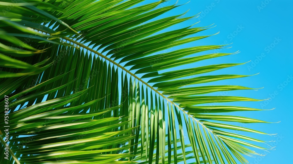 exotic tropical leaves background