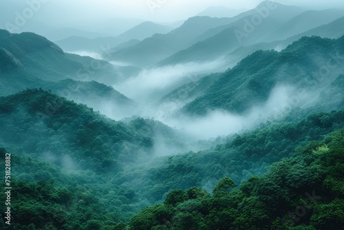 Mountains under fog in the morning. Amazing nature scenery. Country Tourism and travel concept image, Fresh and relax type nature image, copy space
