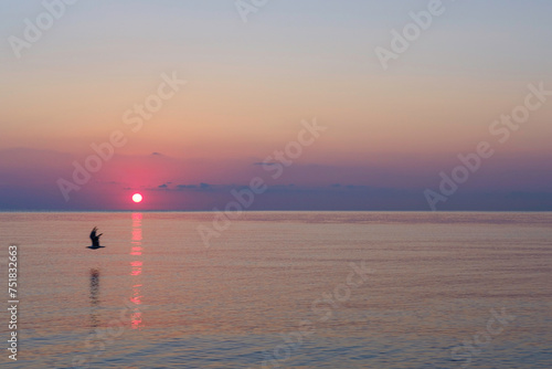 Alba al mare con gabbiano in volo. Ma potrebbe essere un tramonto? photo