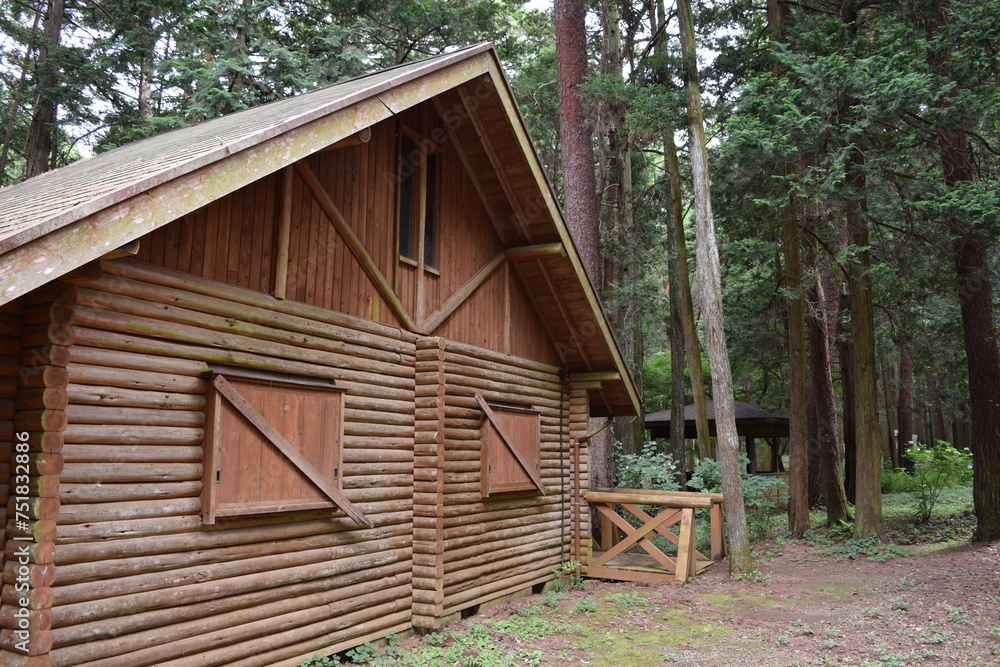 森林内に建つログハウス 森林内に建つログハウス