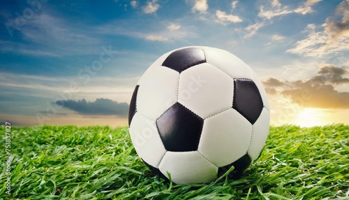 traditional soccer ball on grass field