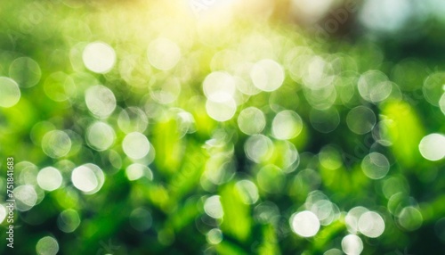 abstract nature green bokeh background